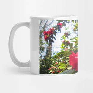 Rhododendron Taurus in Full Bloom Mug